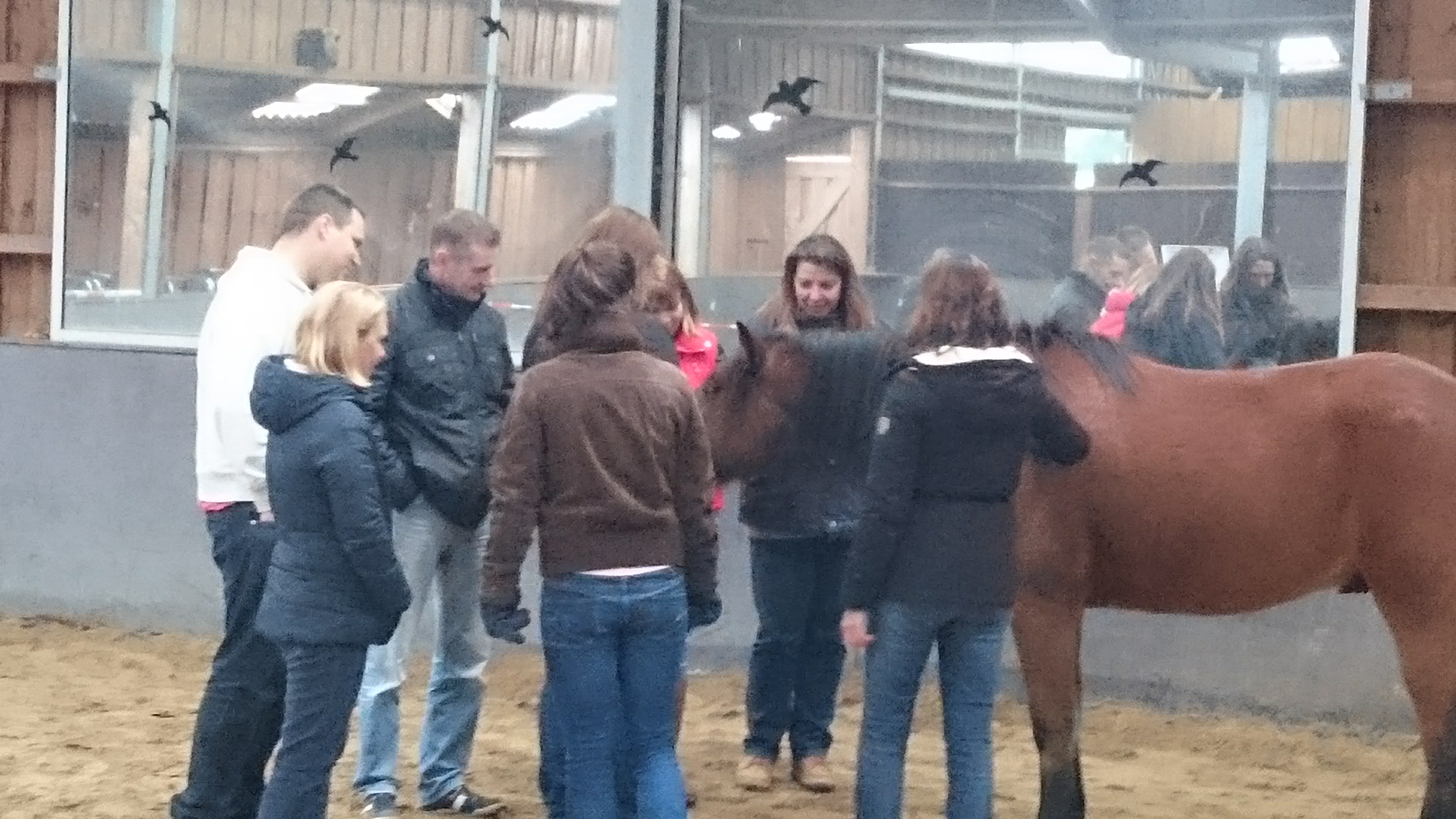 VoorDeVerandering aan de slag met teamontwikkeling voor een ondernemingsraad van een corporate-organisatie. De onderlinge samenwerking, het leiderschap en individuele vraagstukken werden helder weerspiegeld.